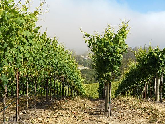 3rd image of 5215 Blank Road