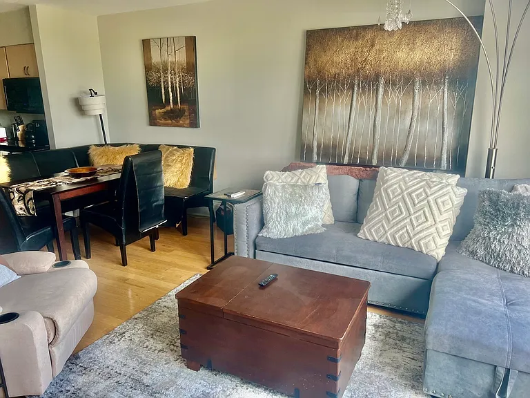 1550 N Lake Shore Dr #3E — Photo 12
