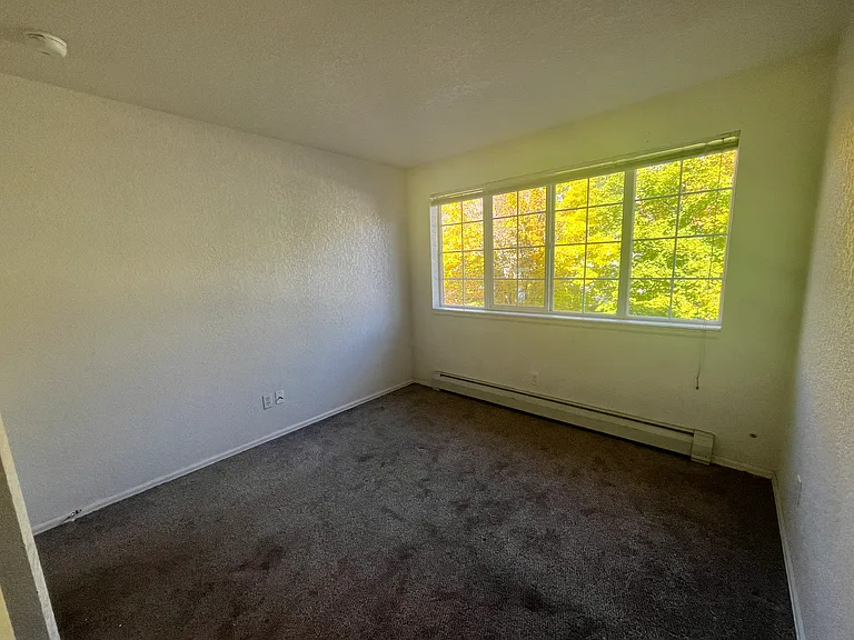 8206 Elk Ln — Photo 8