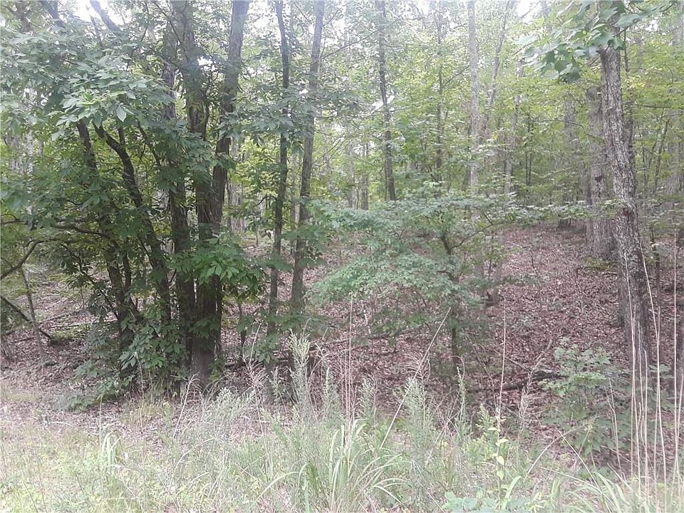 2nd image of 0 Lefevers Rd Lot 0