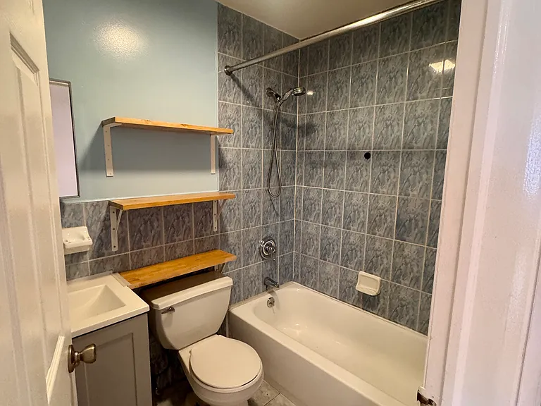 25 Orchard St #301 — Photo 6