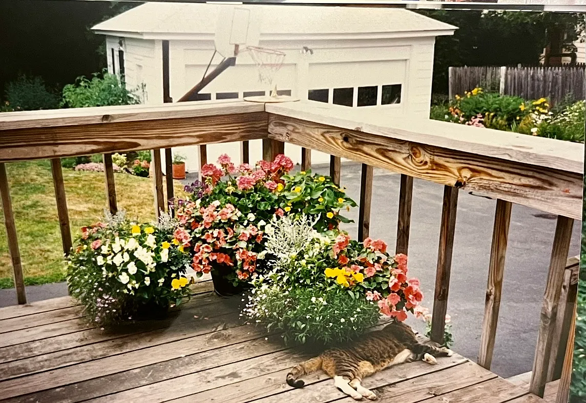 3 bed, 1757 sqft, $4,500 — Photo 2