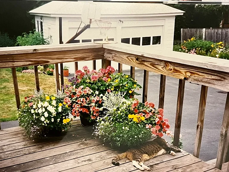 72 Elm St — Photo 2