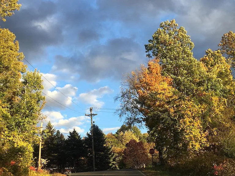 The country road where the house is located.