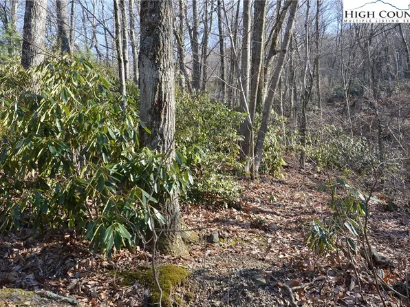 Lot #17 Bobcat Lane, Sparta, NC 28675