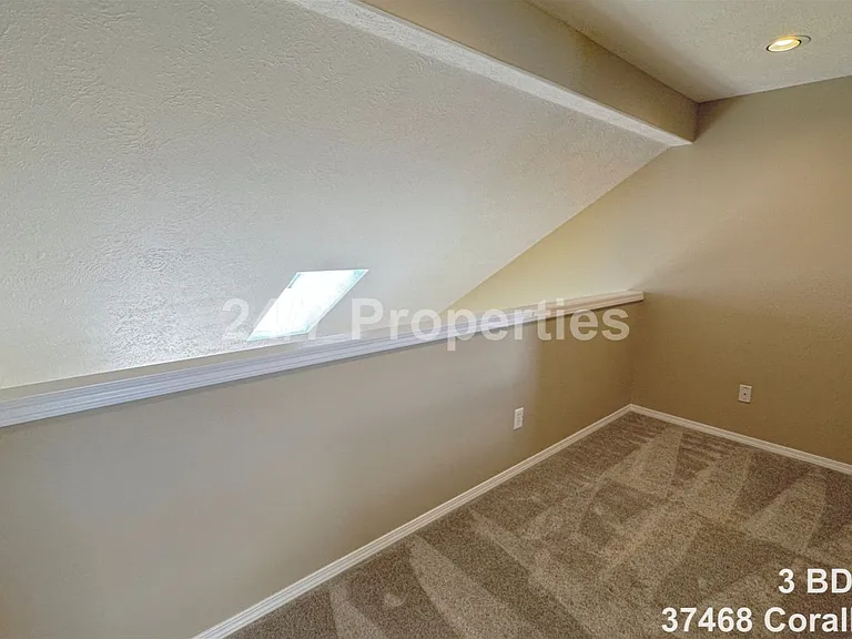37468 Coralburst St — Photo 7