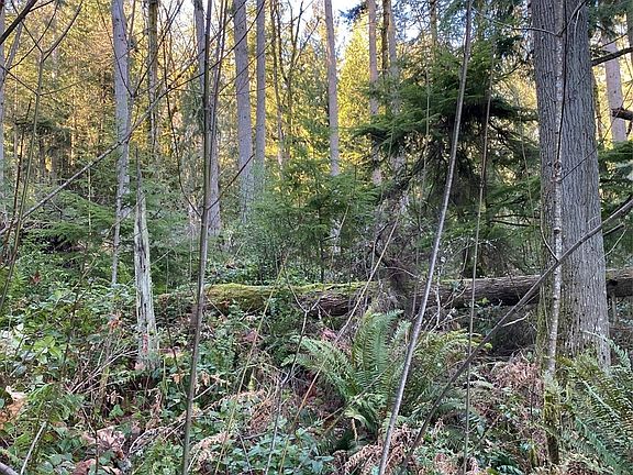 3rd image of 19201 SE 56th