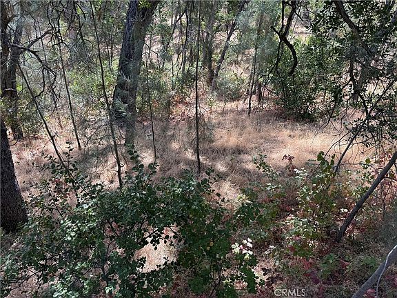 2nd image of 16305 Hillcrest Rd Lot 1179