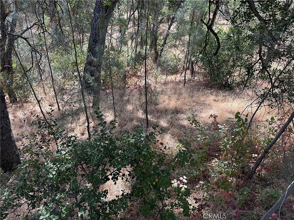 2nd image of 16305 Hillcrest Rd Lot 1179