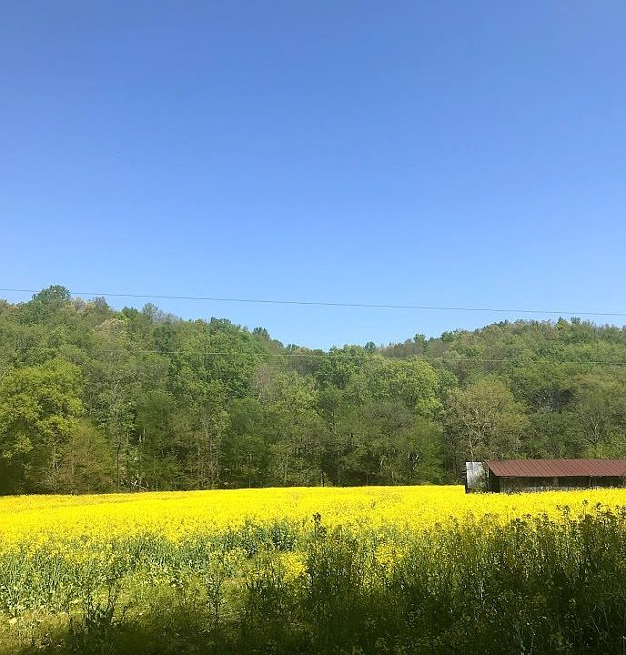 2nd image of Robinson Rd