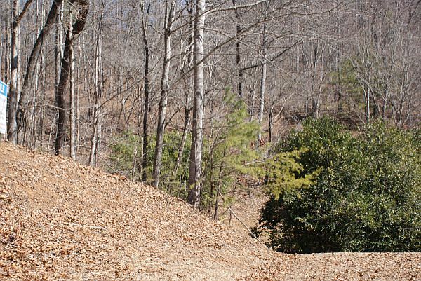 2nd image of Lake View Lane #3