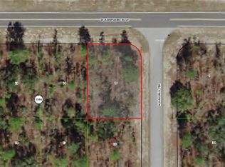 3356 W Hampshire Blvd, Citrus Springs, FL 34433