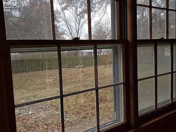Spacious fenced back yard