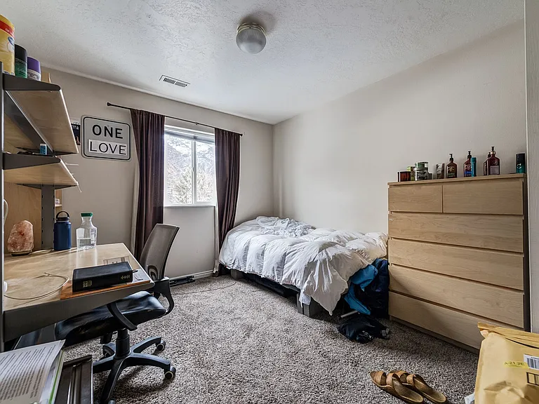 529 N 790 E #211 — Photo 5