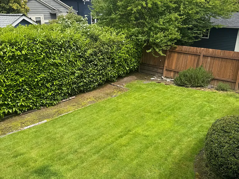 Fenced backyard