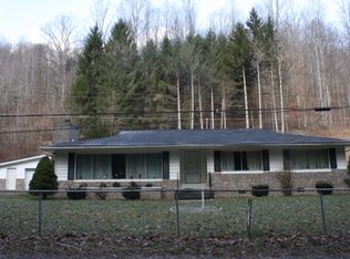 7506 Dille Widen Road, Dille, WV 26617