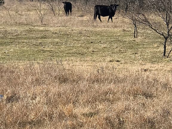 3rd image of Winn Rd