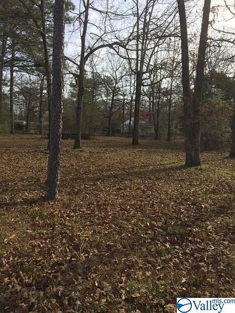 2nd image of 921 Wisteria Ln