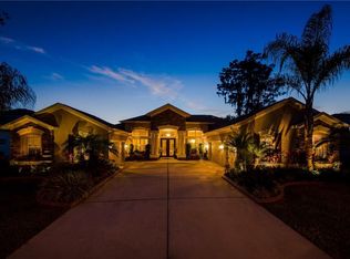 1023 Emerald Hill Way, Valrico, FL 33594