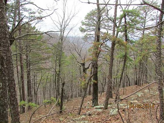 3rd image of Brannon Mountain