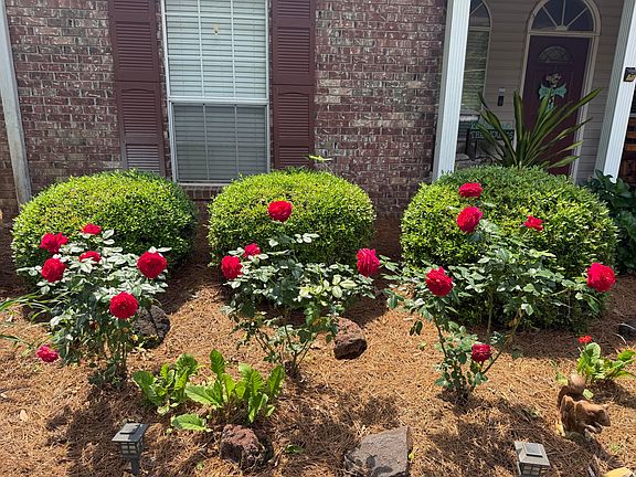 3rd image of 444 Beaver Lake Rd