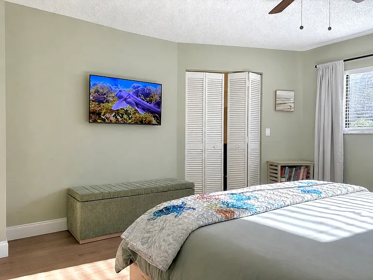 TV installed in Primary Bedroom