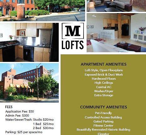 4th image of 1107 Mississippi Ave APT 508