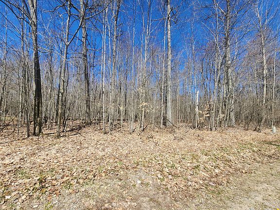 4th image of LOT 573 Ferngrove Ct
