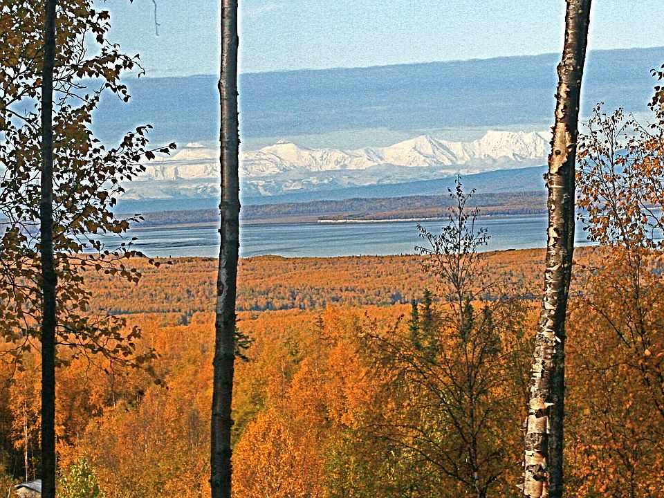 View from back deck