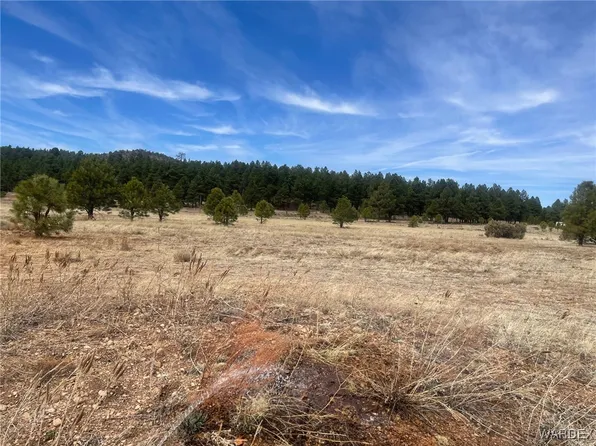 603 N Cool Pines Rd, Williams, AZ 86046