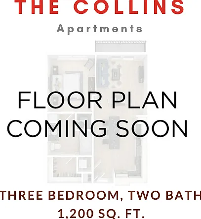 The Collins — Photo 12