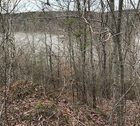 3rd image of LOT 31 Stillwater Ln
