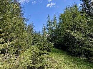 Nna Silver Reef Rd Lot 4, Sagle, ID 83860