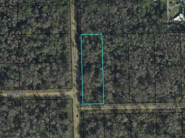 3936 Evergreen Ave, Bunnell, FL 32110