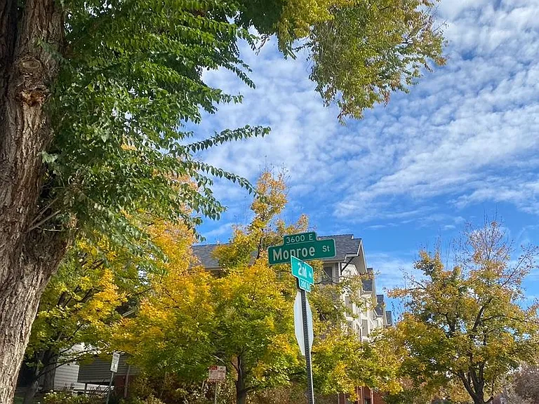 155 N Jackson St #8 — Photo 45