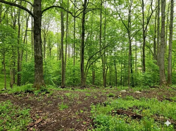 0 Periwinkle Path Lot 10, Leoma, TN 38468