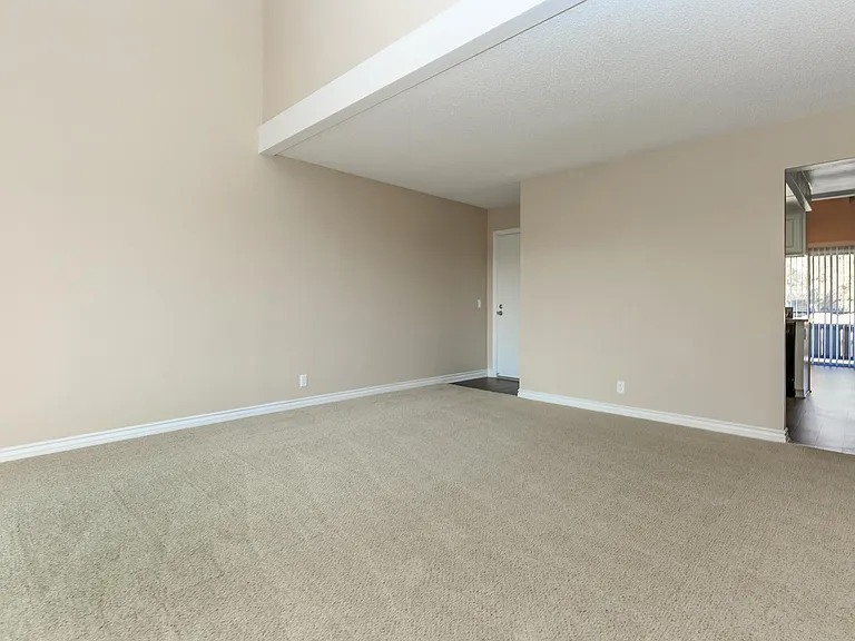 Birchwood Village Apartment Homes — Photo 19