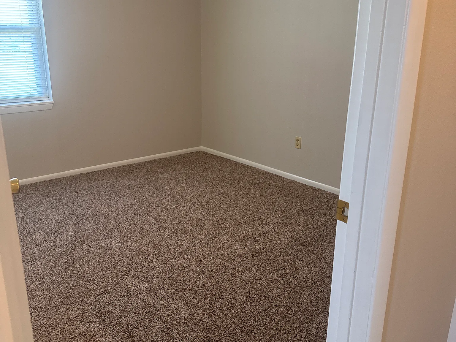 1 bed, $750 — Photo 4