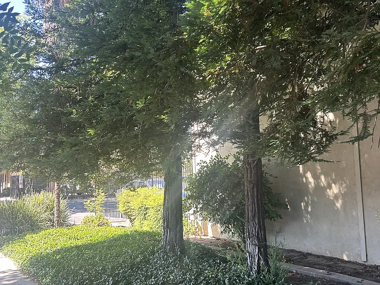 140 Covena Ave — Photo 8