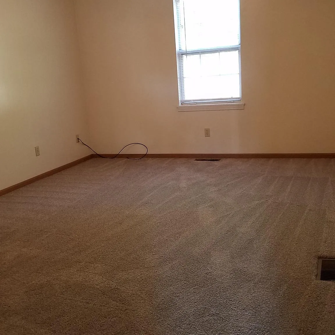 2 bed, 100 sqft, $600 — Photo 2