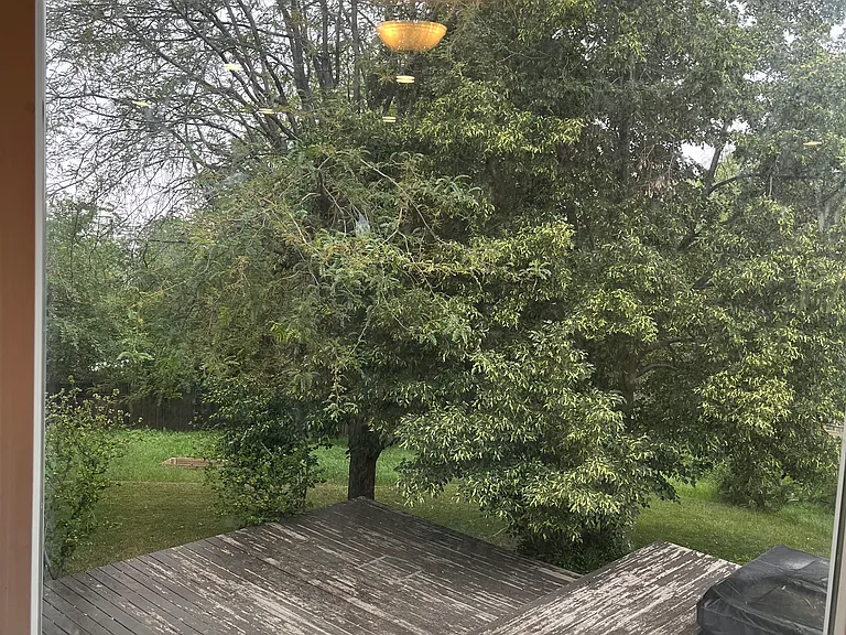 backyard view from bay window in dining room
