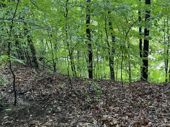 0 E Port Dock Rd, Alpine, TN 38543