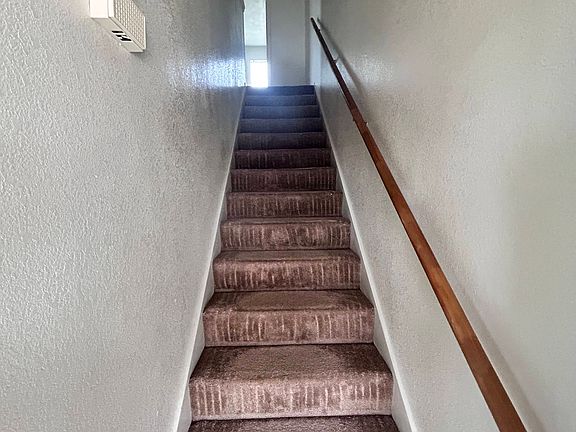Wine Cup stairs_02062025