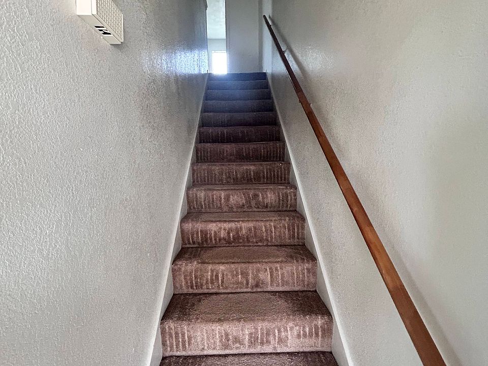 Wine Cup stairs_02062025