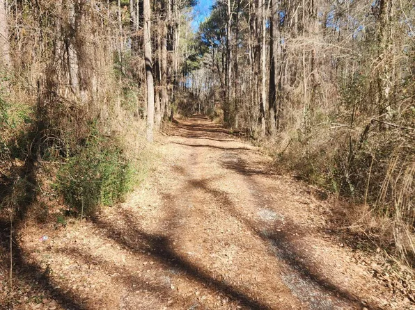 174 Solomon Worley Dr Lot 1, Moncure, NC 27559