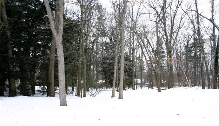 2nd image of Lake Ave