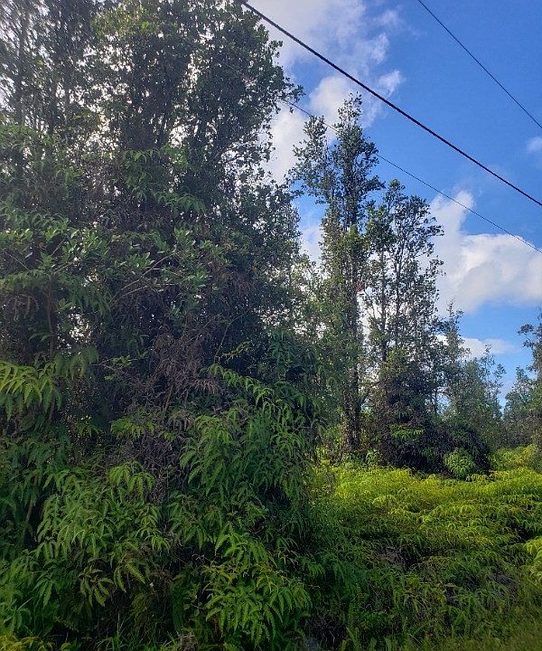 2nd image of Kahoolawe Rd Lot 1135