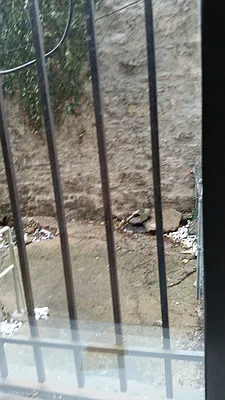 Rented by Tompkins Square Realty | media 13