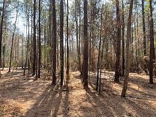 3rd image of TRACT Big Lake Rd #A