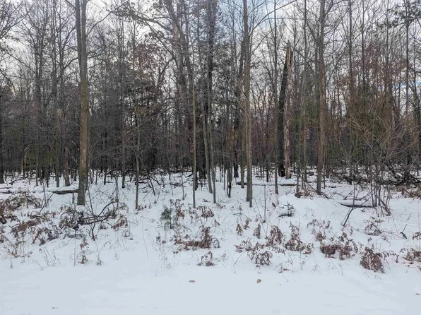 N/a Georgia Edna Ln, Prescott, MI 48756